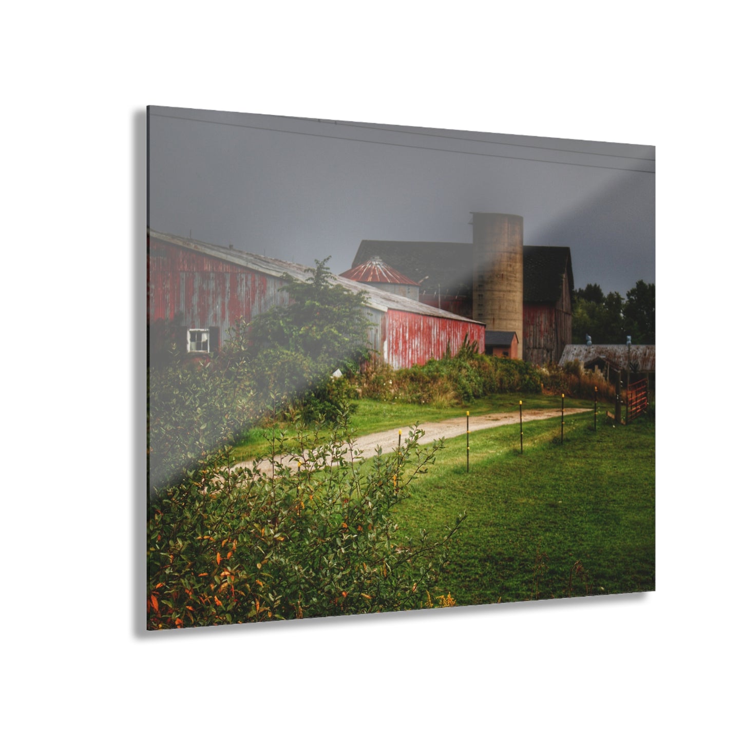 U R There Photography Path of Barns Rustic Farmhouse Acrylic Wall Print
