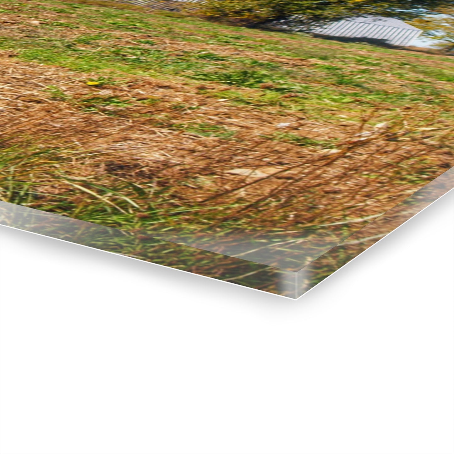 U R There Photography Freiberger Road Greys Rustic Farmhouse Acrylic Wall Print