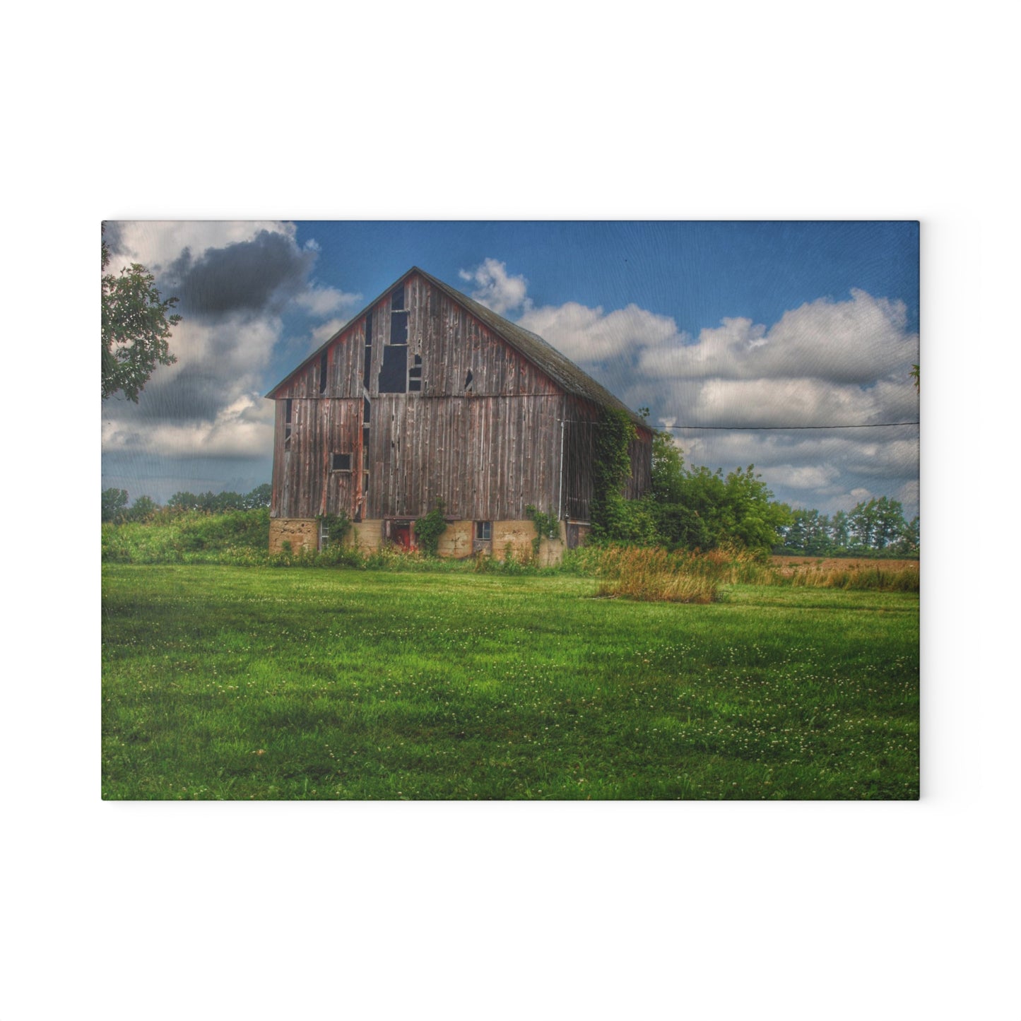U R There Photography Bohms Road Grey II Rustic Farmhouse Tempered-Glass Cutting Board