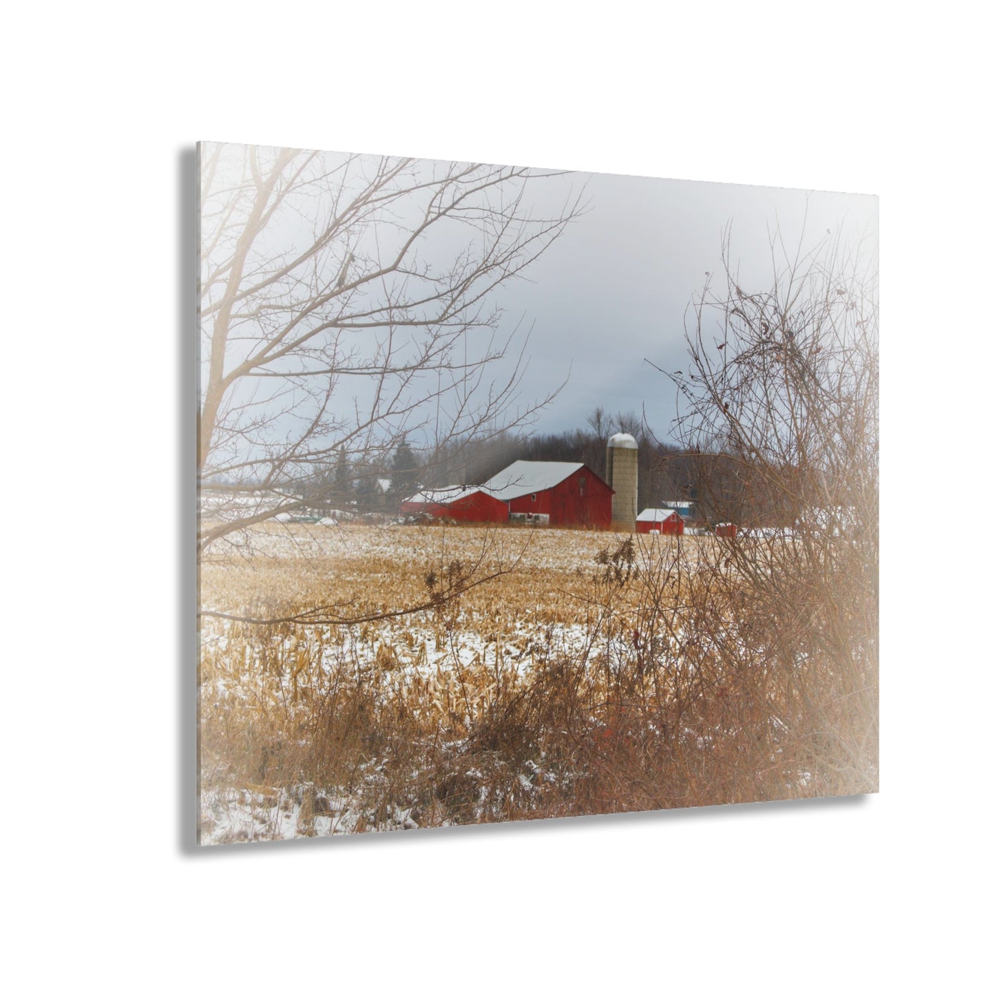 U R There Photography Brook Road Red in Winter Rustic Farmhouse Acrylic Wall Print