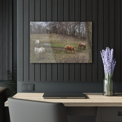 Barn Boutique Modern Farmhouse Acrylic Wall Print| Horses of Barnes Road I