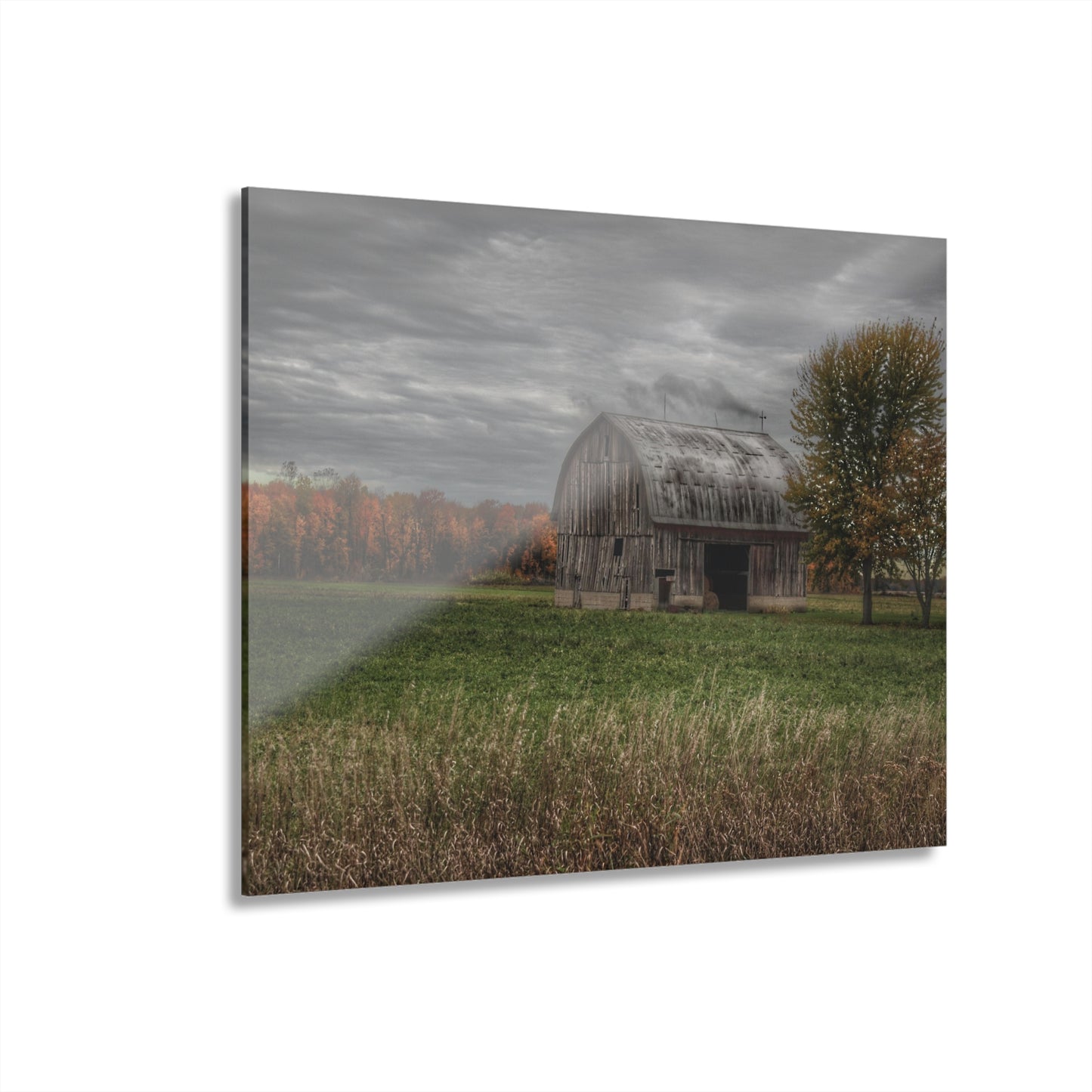 U R There Photography Bray Road Grey in the Fall Rustic Farmhouse Acrylic Wall Print