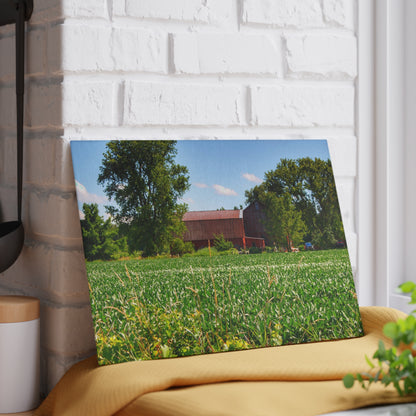 U R There Photography Canada Road Hidden Red Rustic Farmhouse Tempered-Glass Cutting Board