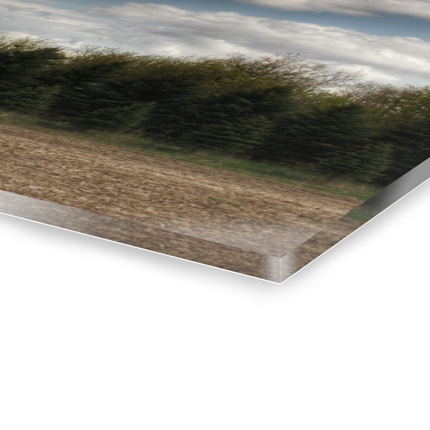 U R There Photography Sandusky Grey in the Pines Rustic Farmhouse Acrylic Wall Print