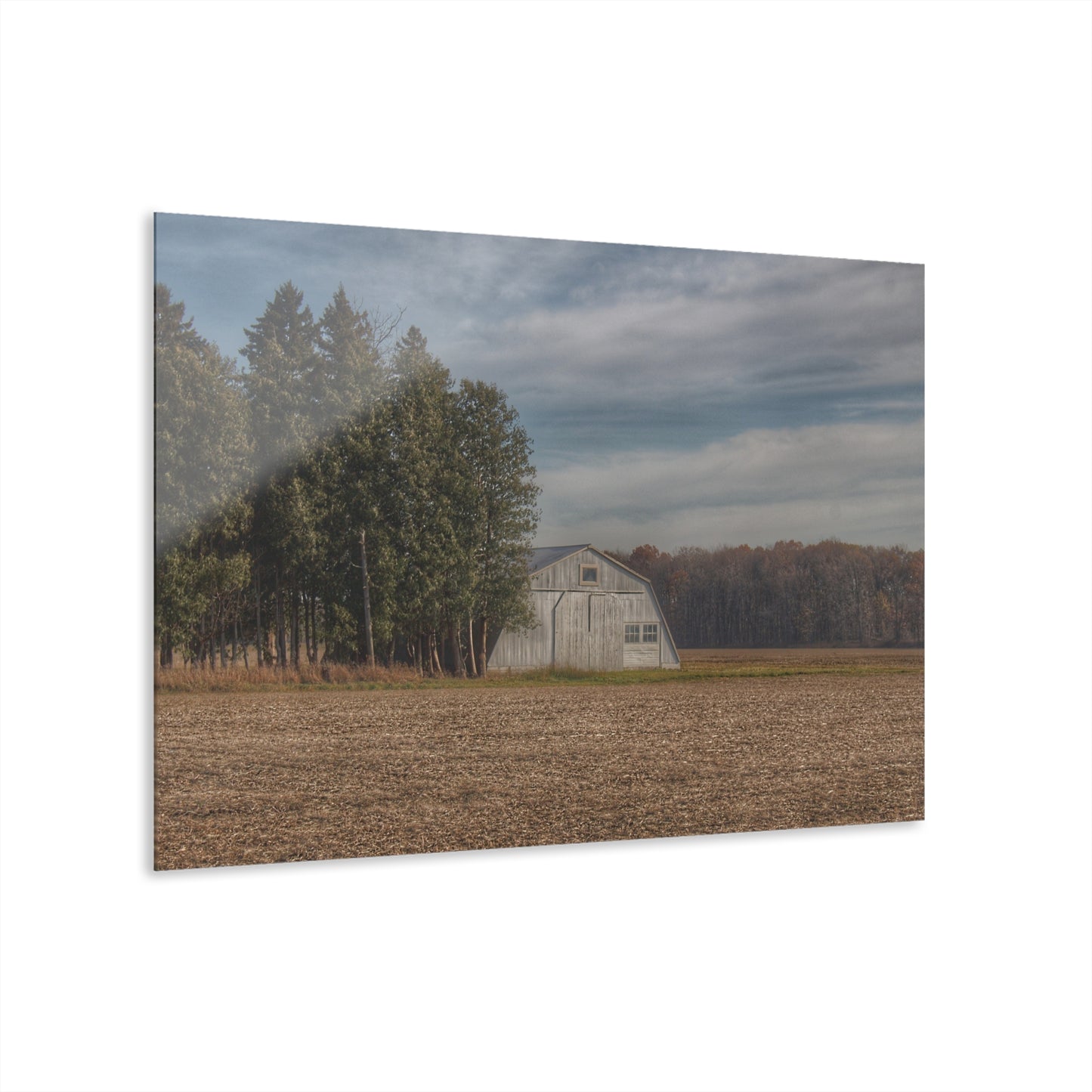 U R There Photography Grey Quonset Among the Pines Rustic Farmhouse Acrylic Wall Print
