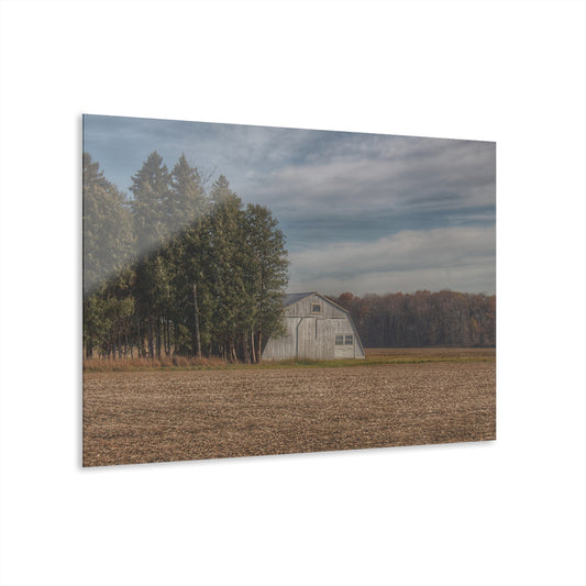 U R There Photography Grey Quonset Among the Pines Rustic Farmhouse Acrylic Wall Print