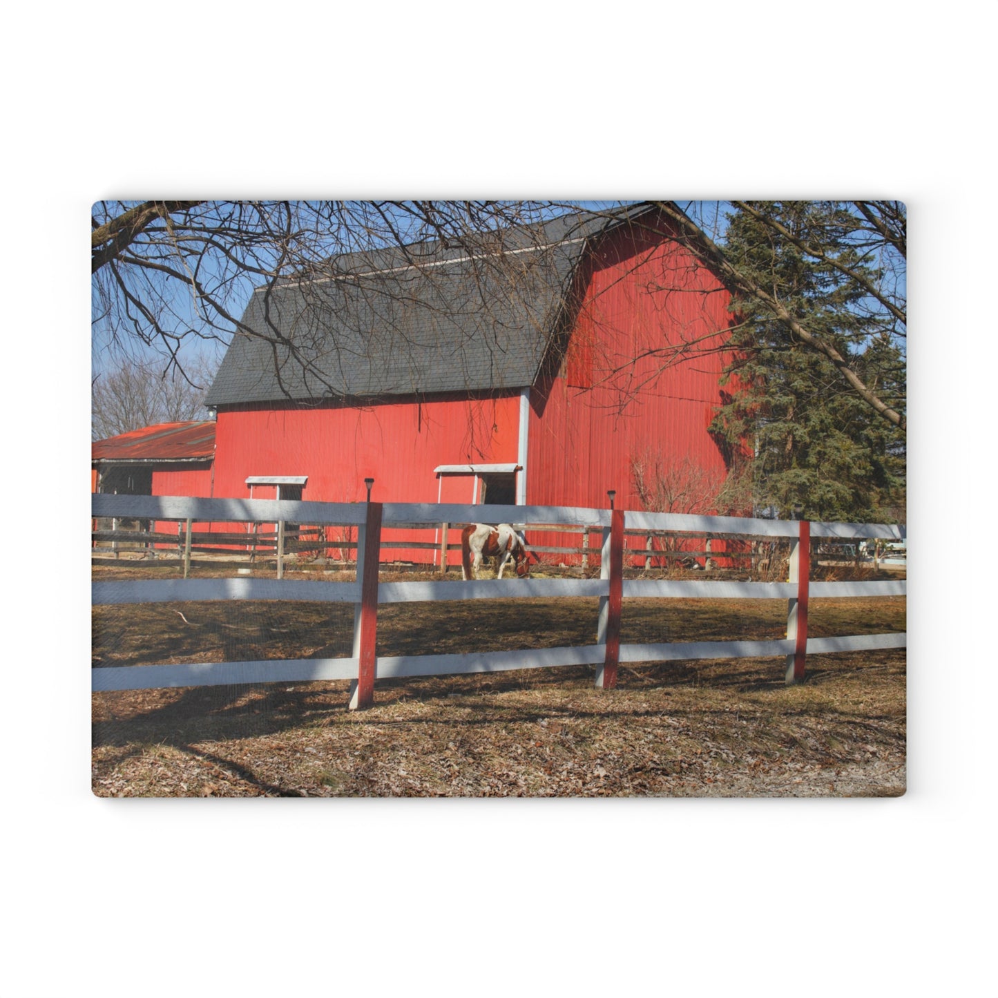 U R There Photography Wolcott Red and Filly Rustic Farmhouse Tempered-Glass Cutting Board