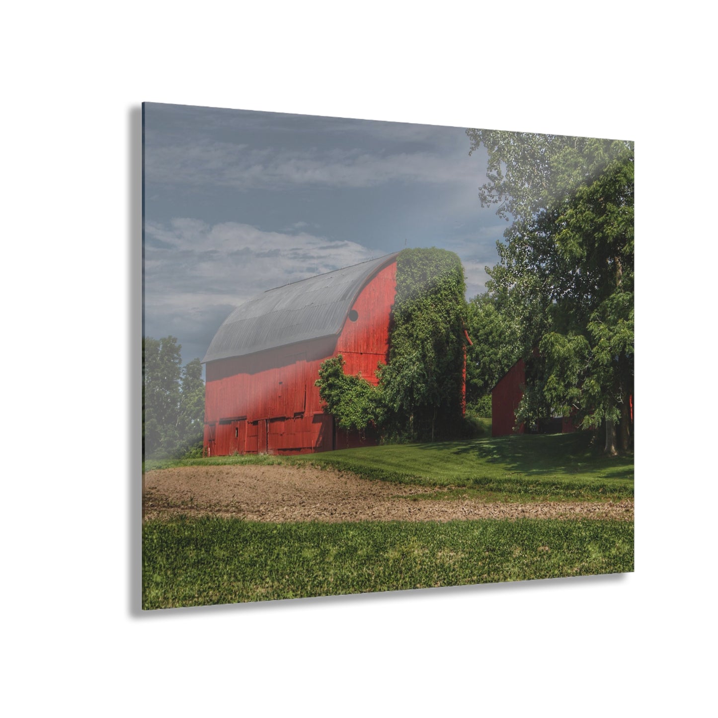 U R There Photography Catlin Road Red I Rustic Farmhouse Acrylic Wall Print