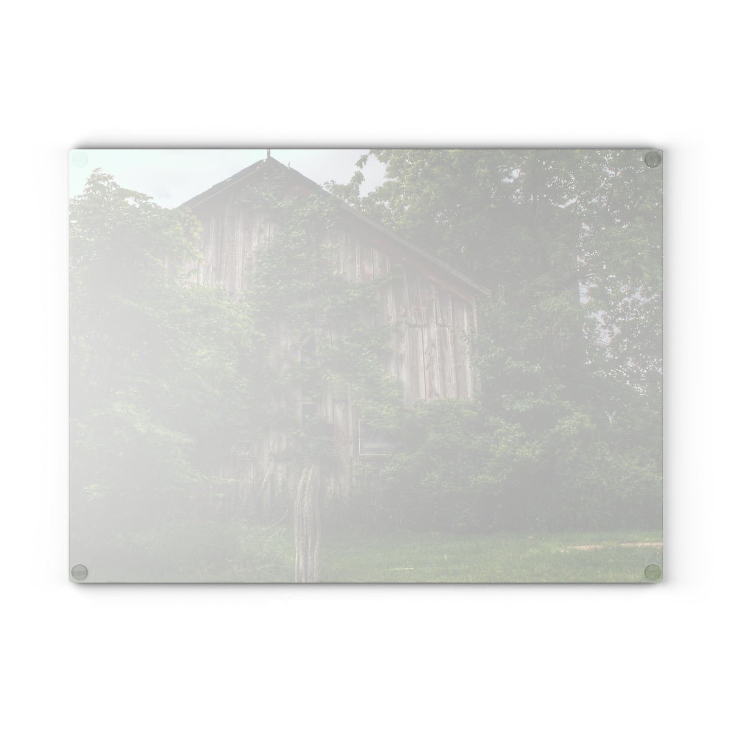 U R There Photography Imlay Hidden Rustic Farmhouse Tempered-Glass Cutting Board