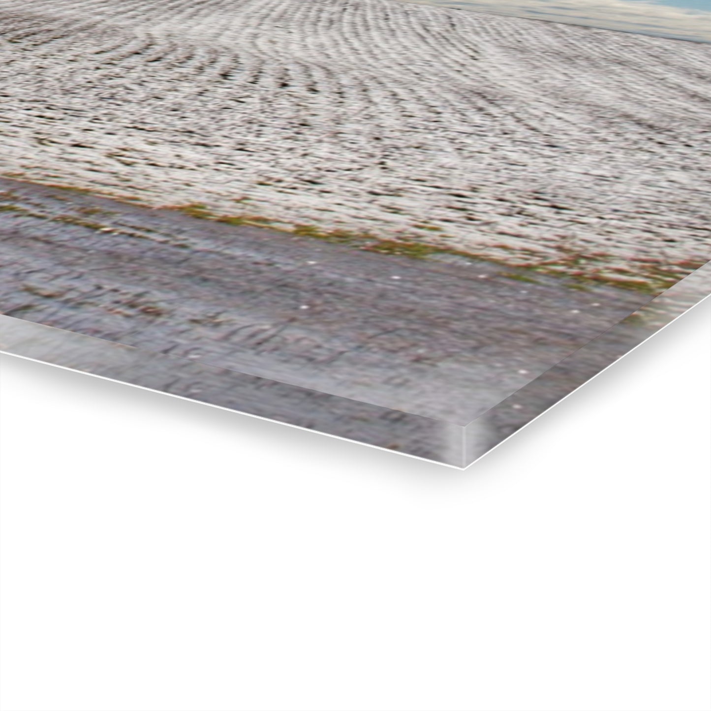 U R There Photography Early Spring Grey II Rustic Farmhouse Acrylic Wall Print