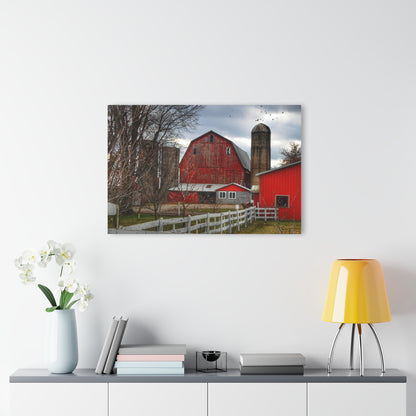 Barn Boutique Modern Farmhouse Acrylic Wall Print| Peck Red