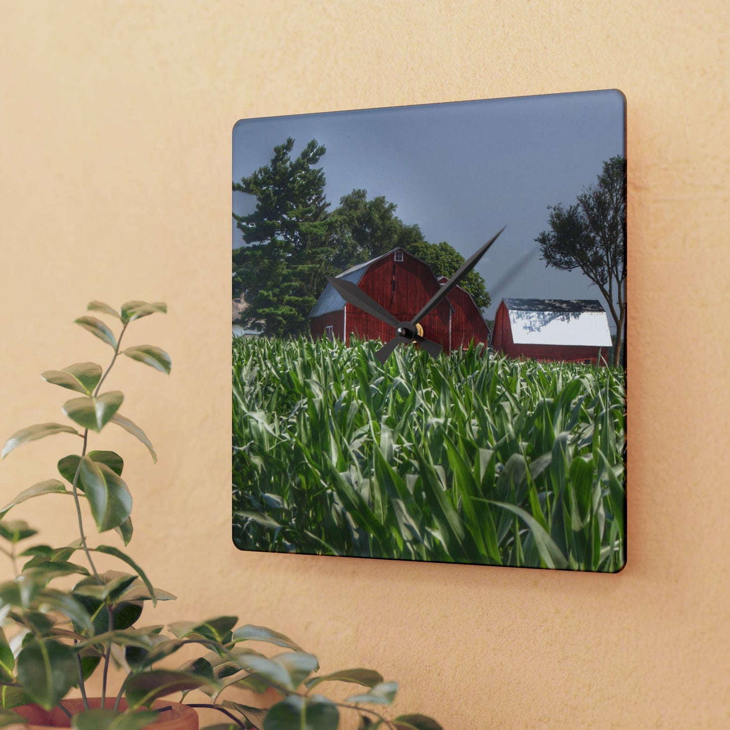 U R There Photography Shoemaker Reds Rustic Farmhouse Acrylic Analog Wall Clock