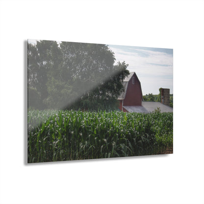 U R There Photography Above the Corn on Piersonville Road III Rustic Farmhouse Acrylic Wall Print