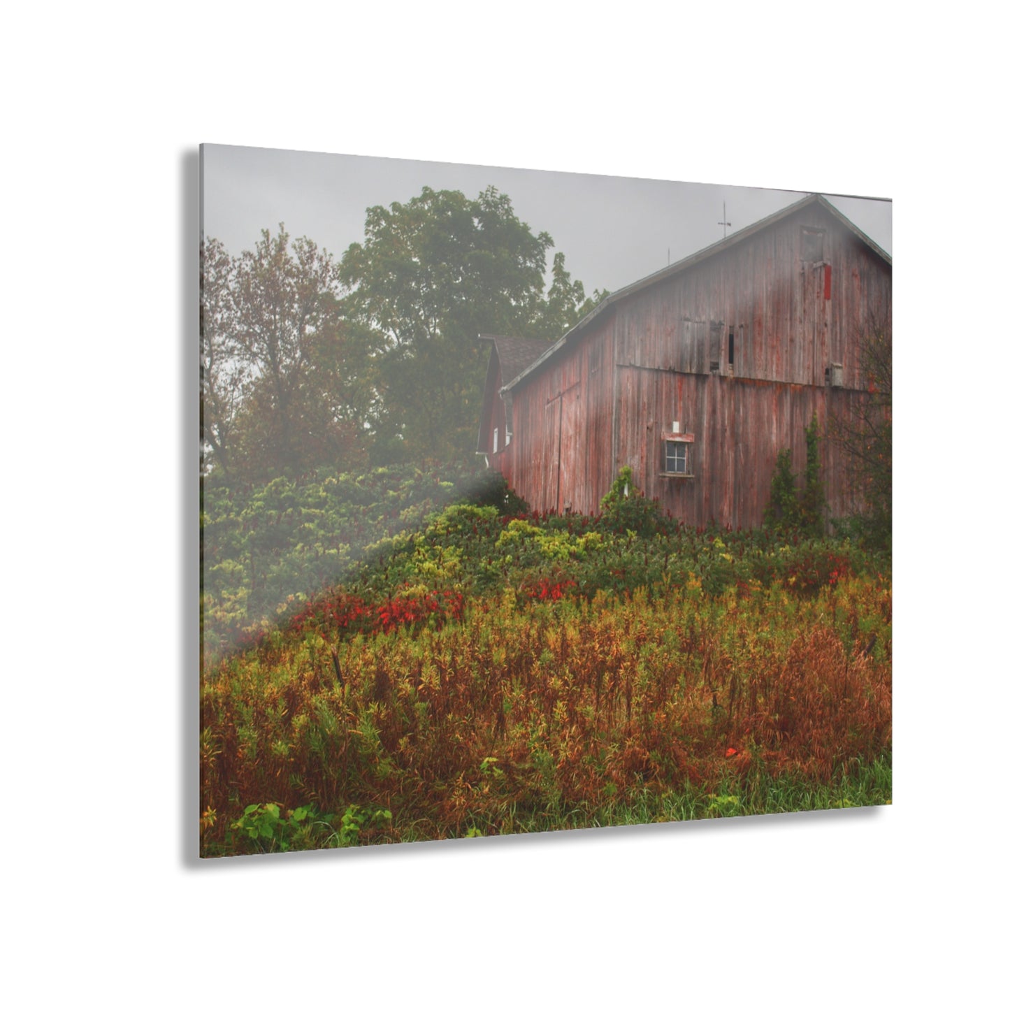 U R There Photography Washburn Roadside Reds Rustic Farmhouse Acrylic Wall Print