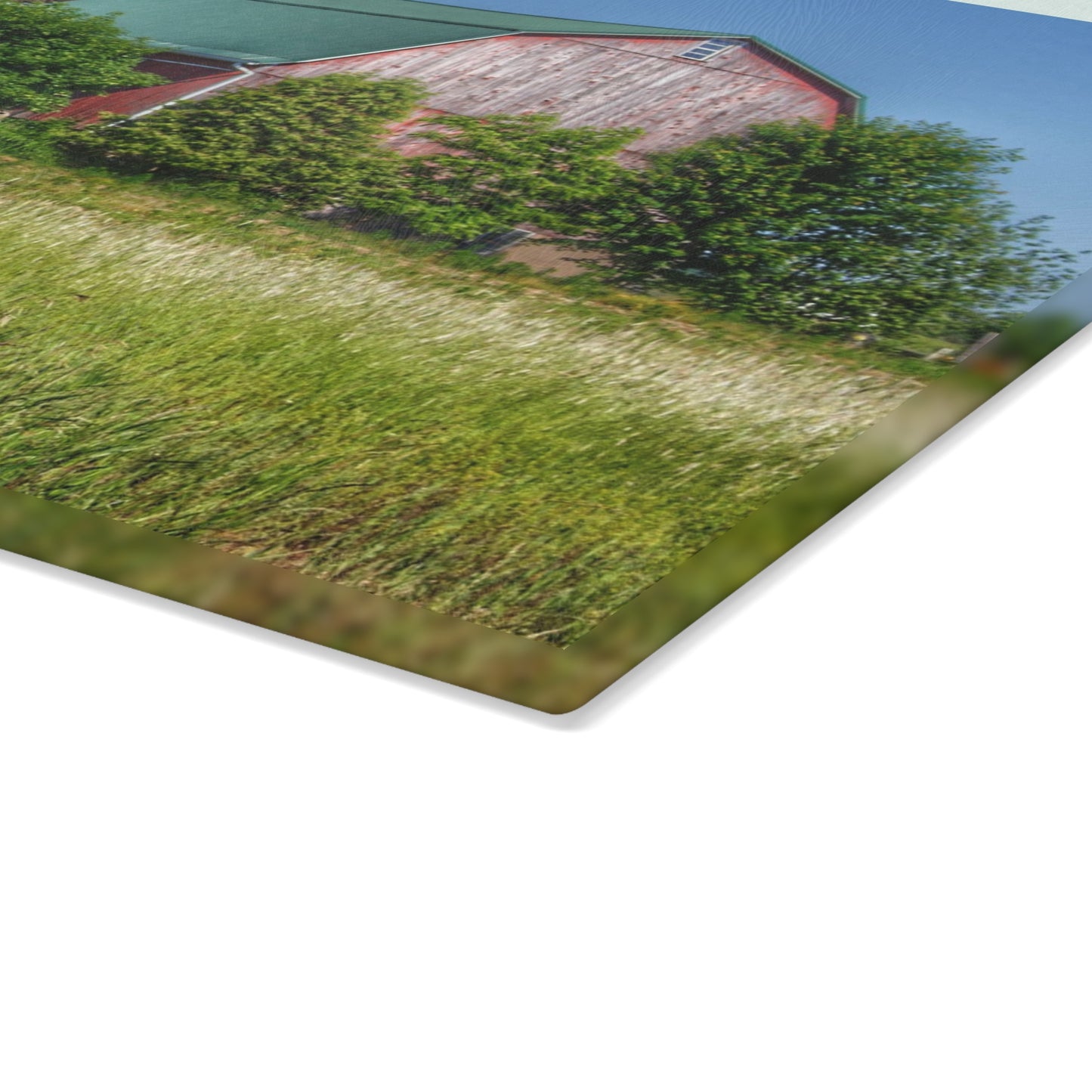 U R There Photography Elmwood Road Red IV Rustic Farmhouse Tempered-Glass Cutting Board