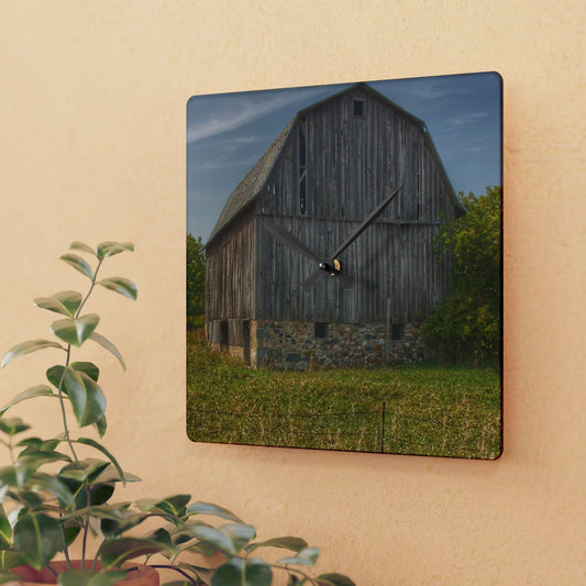 U R There Photography Cat Lake Grey II Rustic Farmhouse Acrylic Analog Wall Clock