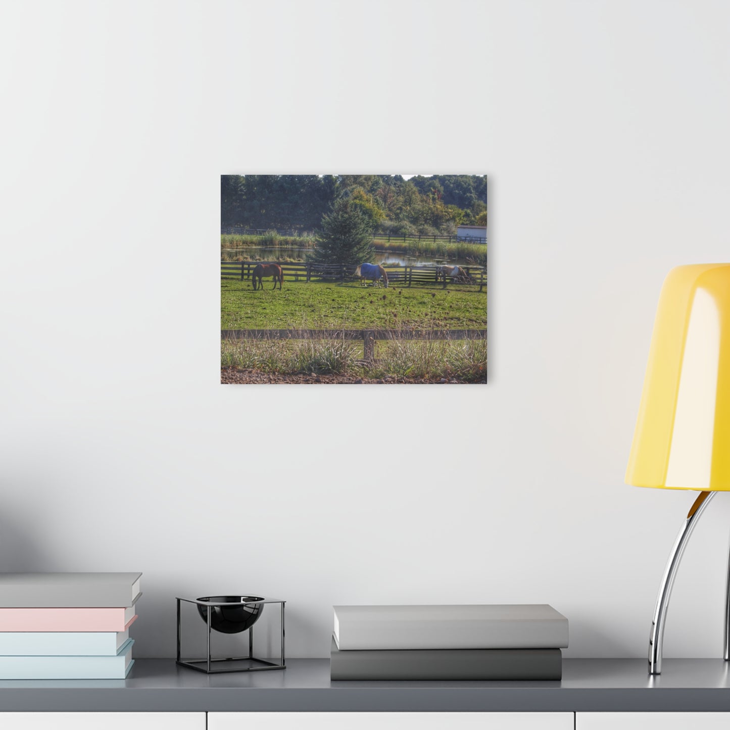 Barn Boutique Modern Farmhouse Acrylic Wall Print| Lake George Ponies