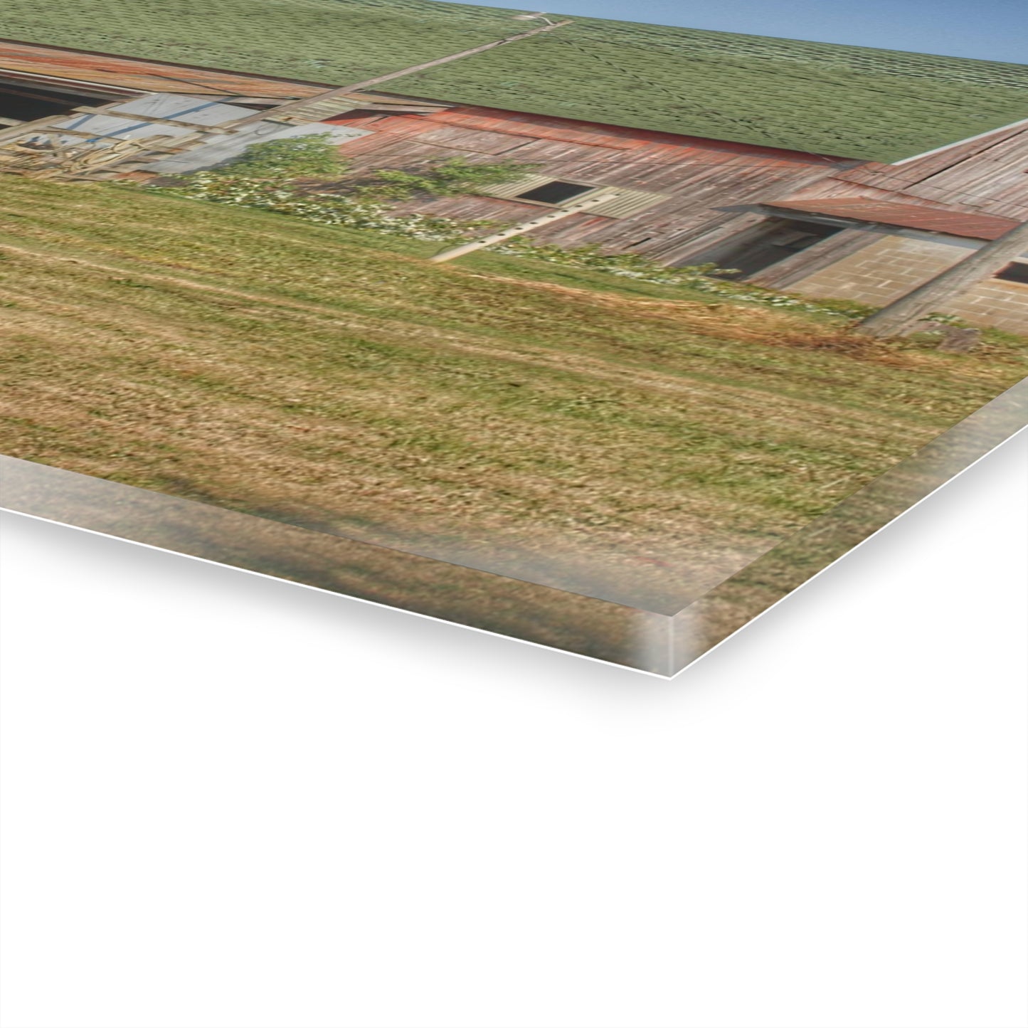 U R There Photography Farrand Road Red with Corral Rustic Farmhouse Acrylic Wall Print