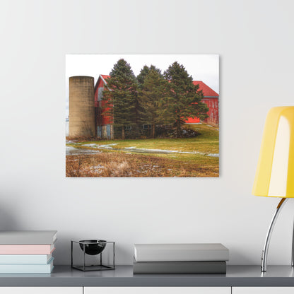 U R There Photography Laur Road Red Among the Pines III Rustic Farmhouse Acrylic Wall Print