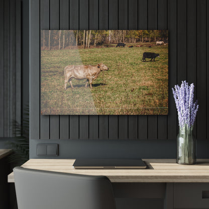 Barn Boutique Modern Farmhouse Acrylic Wall Print| Cass City Road Cows