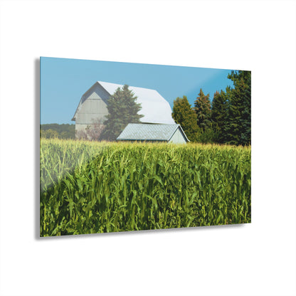 U R There Photography White Cornfield Barn Rustic Farmhouse Acrylic Wall Print