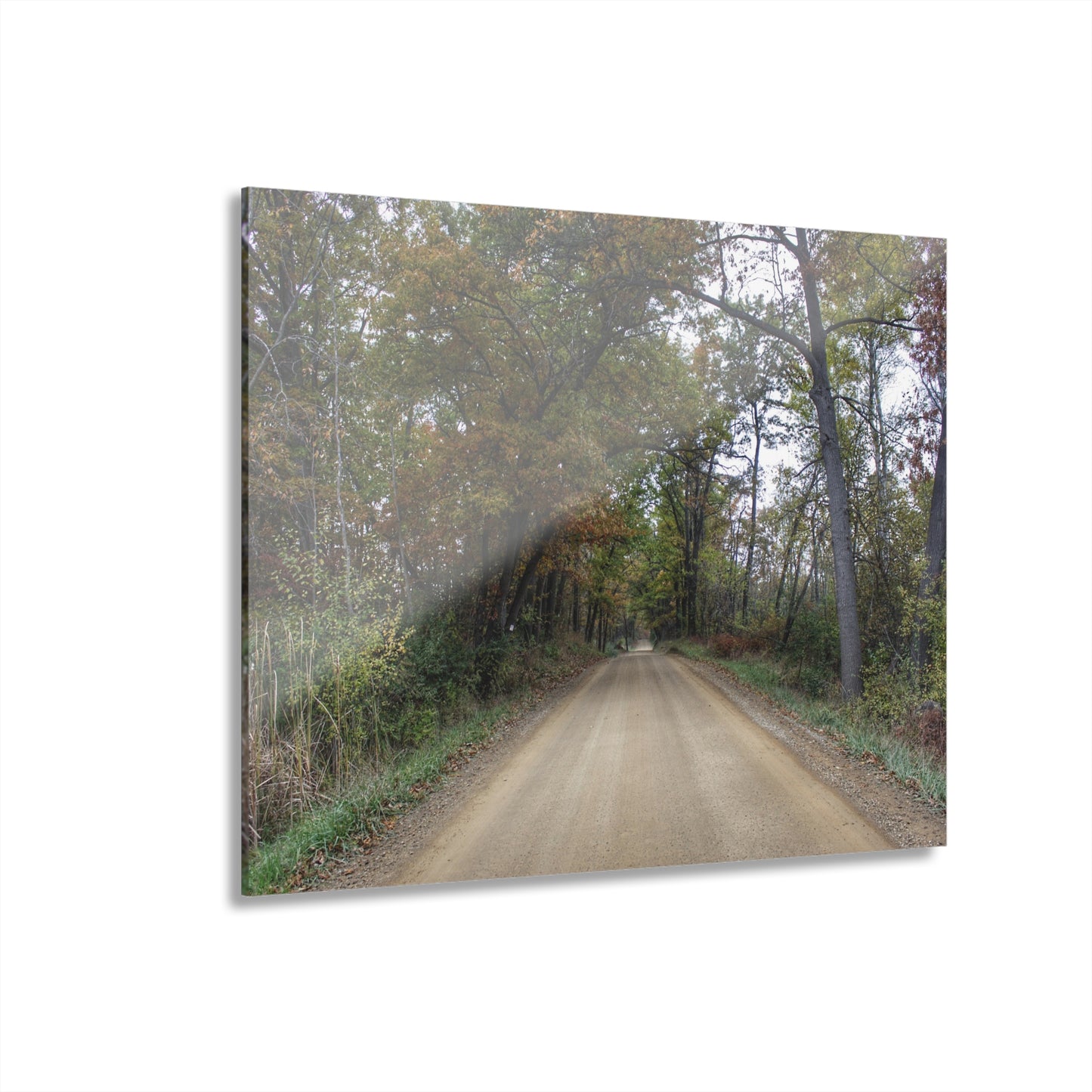 U R There Photography Country Roads in Dryden II Rustic Farmhouse Acrylic Wall Print