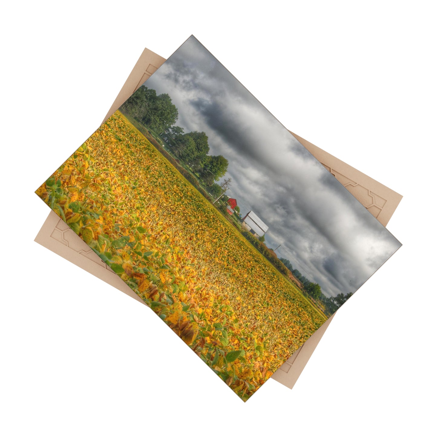 U R There Photography Golden Fields Farm Rustic Farmhouse Decorative Ceramic Tile