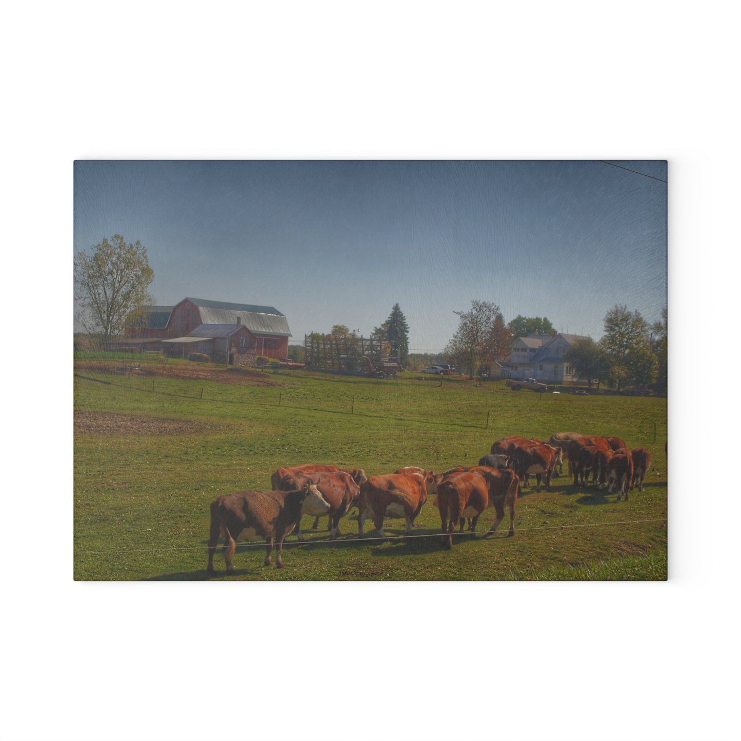 U R There Photography Plain Road Farm and Cows Rustic Farmhouse Tempered-Glass Cutting Board