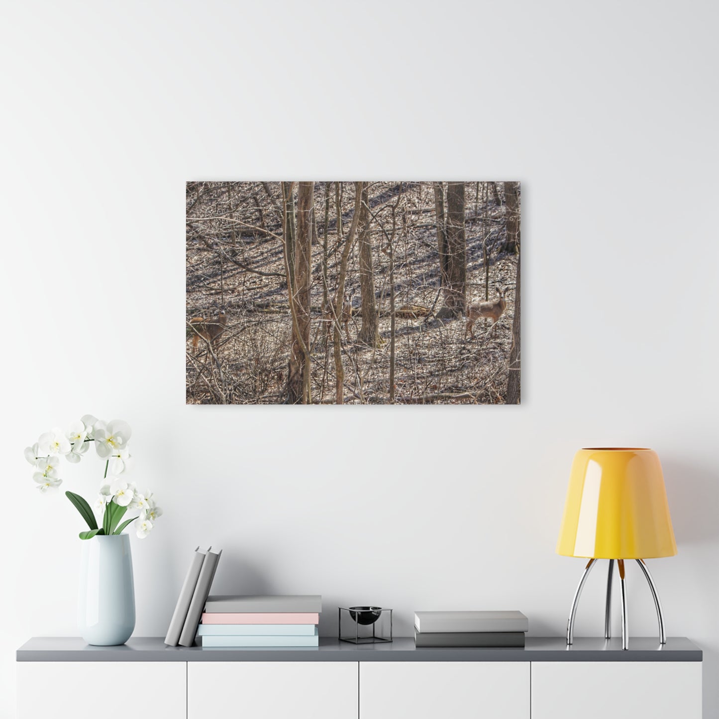 U R There Photography Three Does of Dryden Rustic Farmhouse Acrylic Wall Print