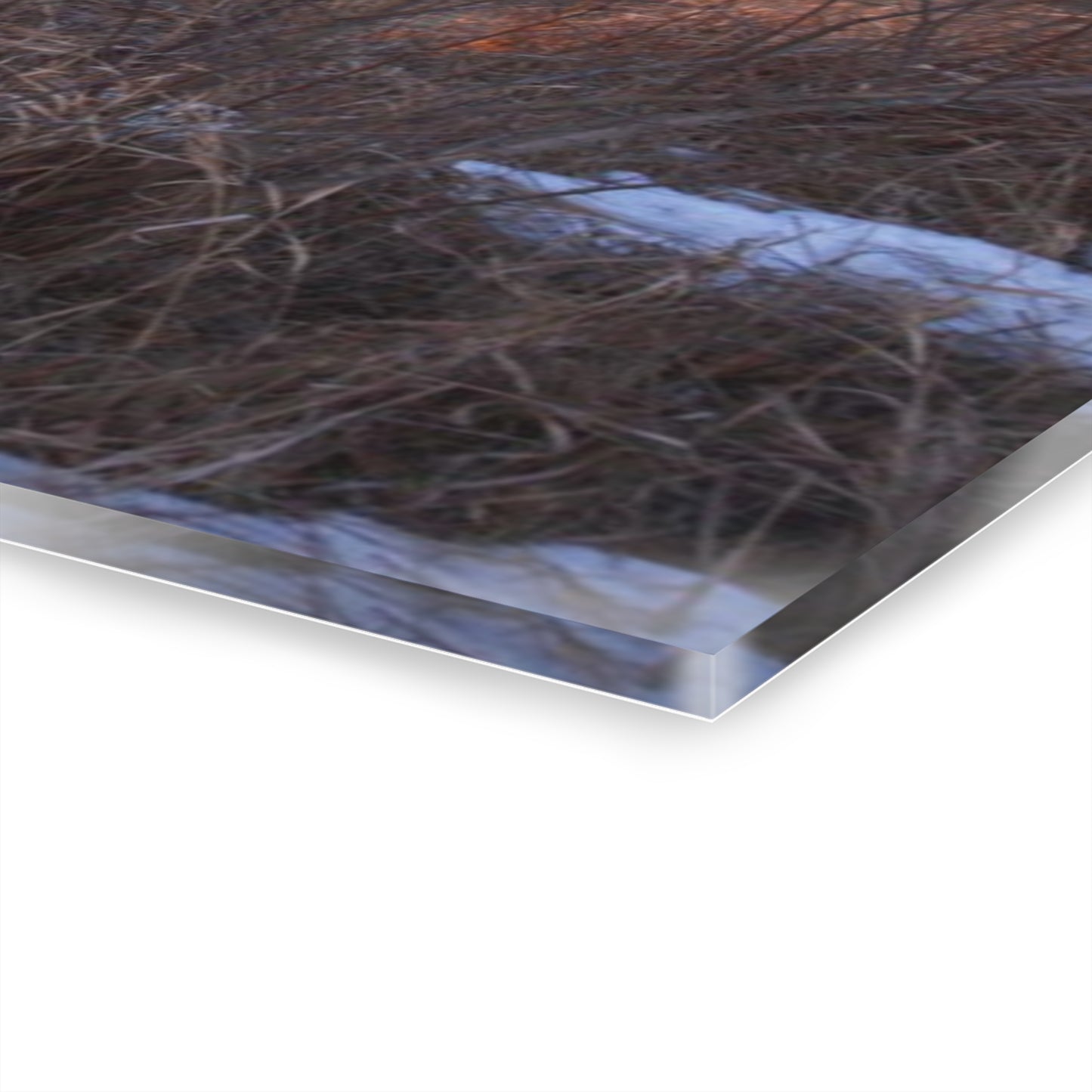 U R There Photography Early Spring on Mount Morris Road Rustic Farmhouse Acrylic Wall Print