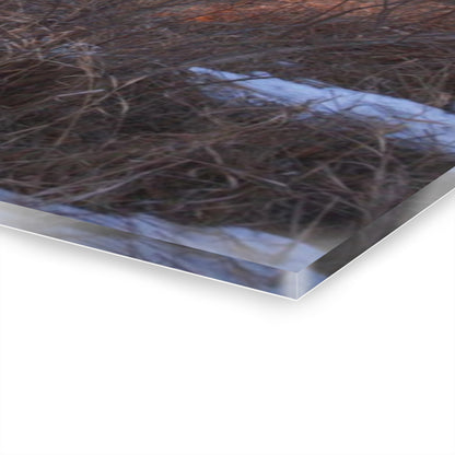 U R There Photography Early Spring on Mount Morris Road Rustic Farmhouse Acrylic Wall Print