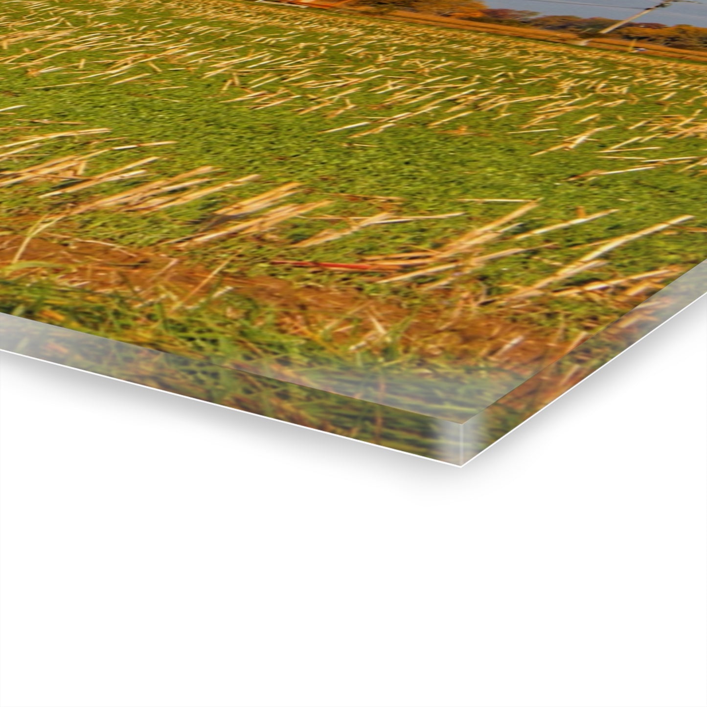 U R There Photography Maple Valley Farm Rustic Farmhouse Acrylic Wall Print