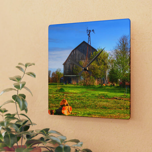 U R There Photography Sohn Road Grey Rustic Farmhouse Acrylic Analog Wall Clock
