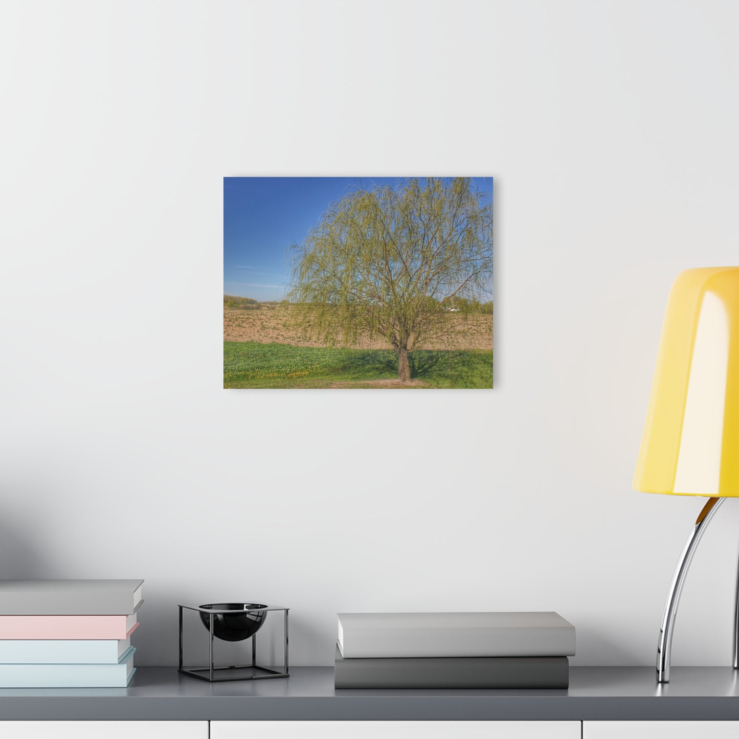 U R There Photography Spring Farm Willow Tree Rustic Farmhouse Acrylic Wall Print