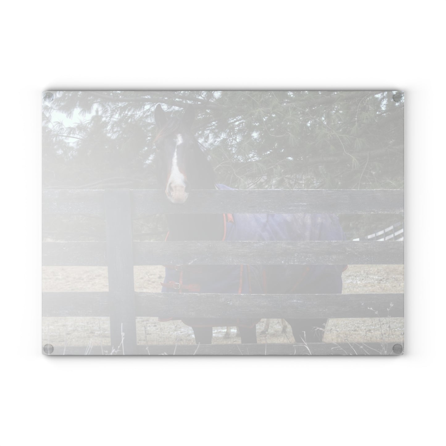 U R There Photography Hosner Road Chestnut Rustic Farmhouse Tempered-Glass Cutting Board