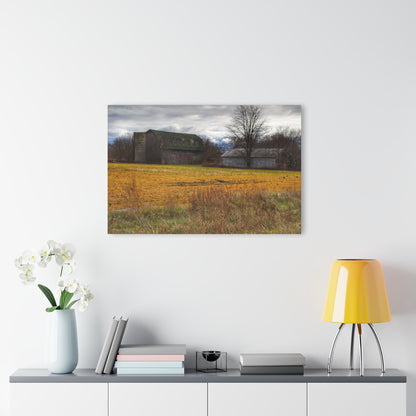 U R There Photography Fields of Golden Clover Rustic Farmhouse Acrylic Wall Print
