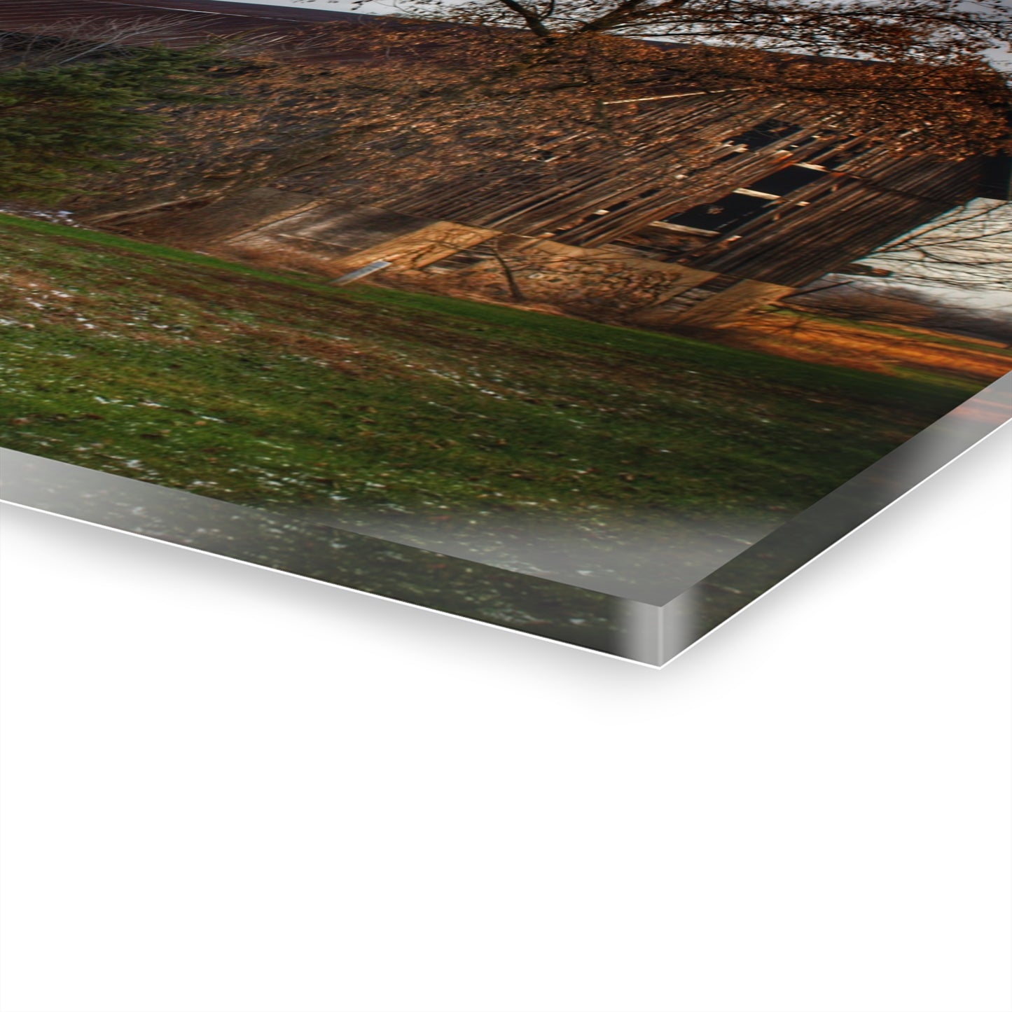 U R There Photography Melvin Grey Rustic Farmhouse Acrylic Wall Print