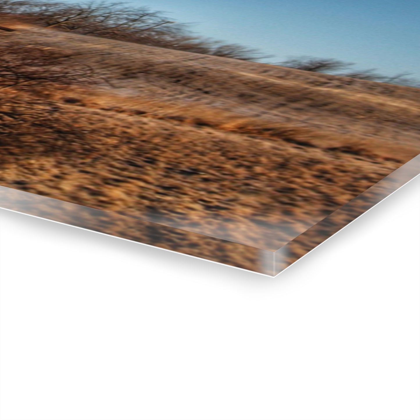 U R There Photography Newark Road Brown Beauty Rustic Farmhouse Acrylic Wall Print