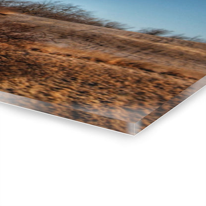 U R There Photography Newark Road Brown Beauty Rustic Farmhouse Acrylic Wall Print