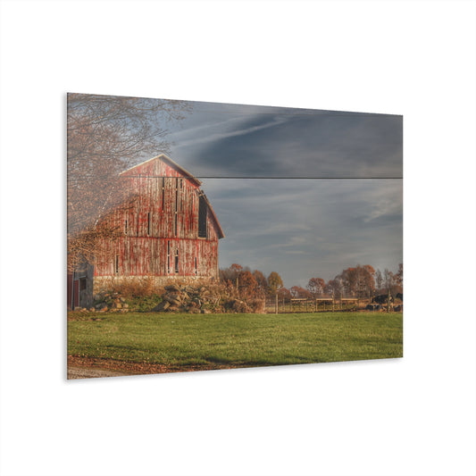 U R There Photography Marathon Road Red Cow Barn Rustic Farmhouse Acrylic Wall Print