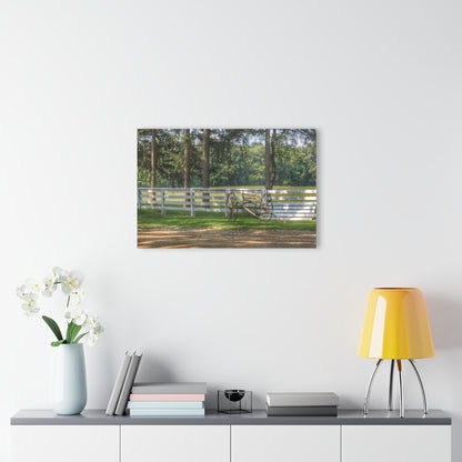 U R There Photography Thornville Buggy and Fence Rustic Farmhouse Acrylic Wall Print