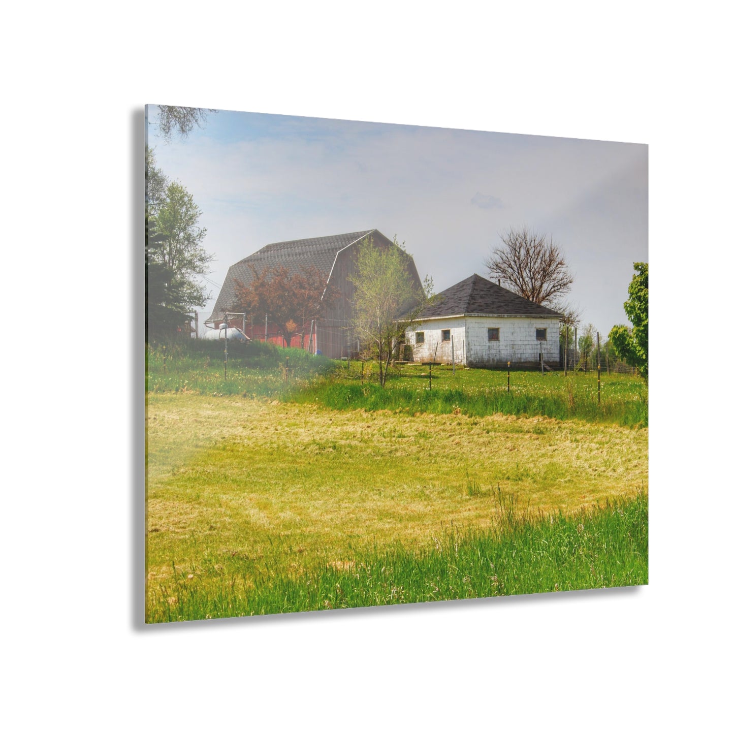U R There Photography Colwood Hidden Red and Little White Rustic Farmhouse Acrylic Wall Print