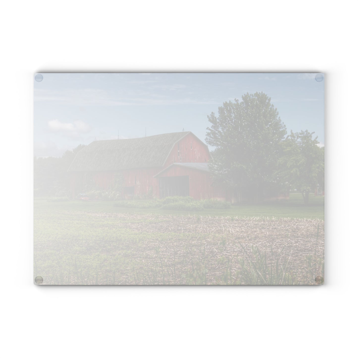 U R There Photography Murphy Lake Road Reds Rustic Farmhouse Tempered-Glass Cutting Board