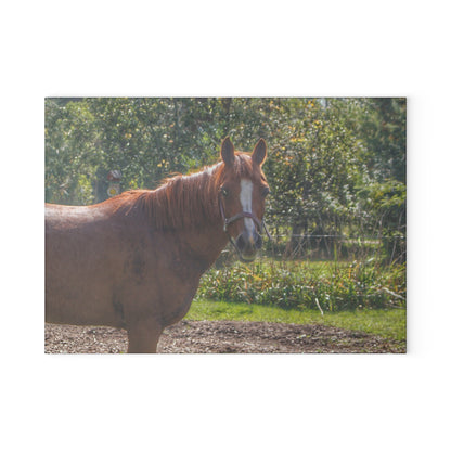 U R There Photography Froede Road Chestnut Brown Rustic Farmhouse Tempered-Glass Cutting Board