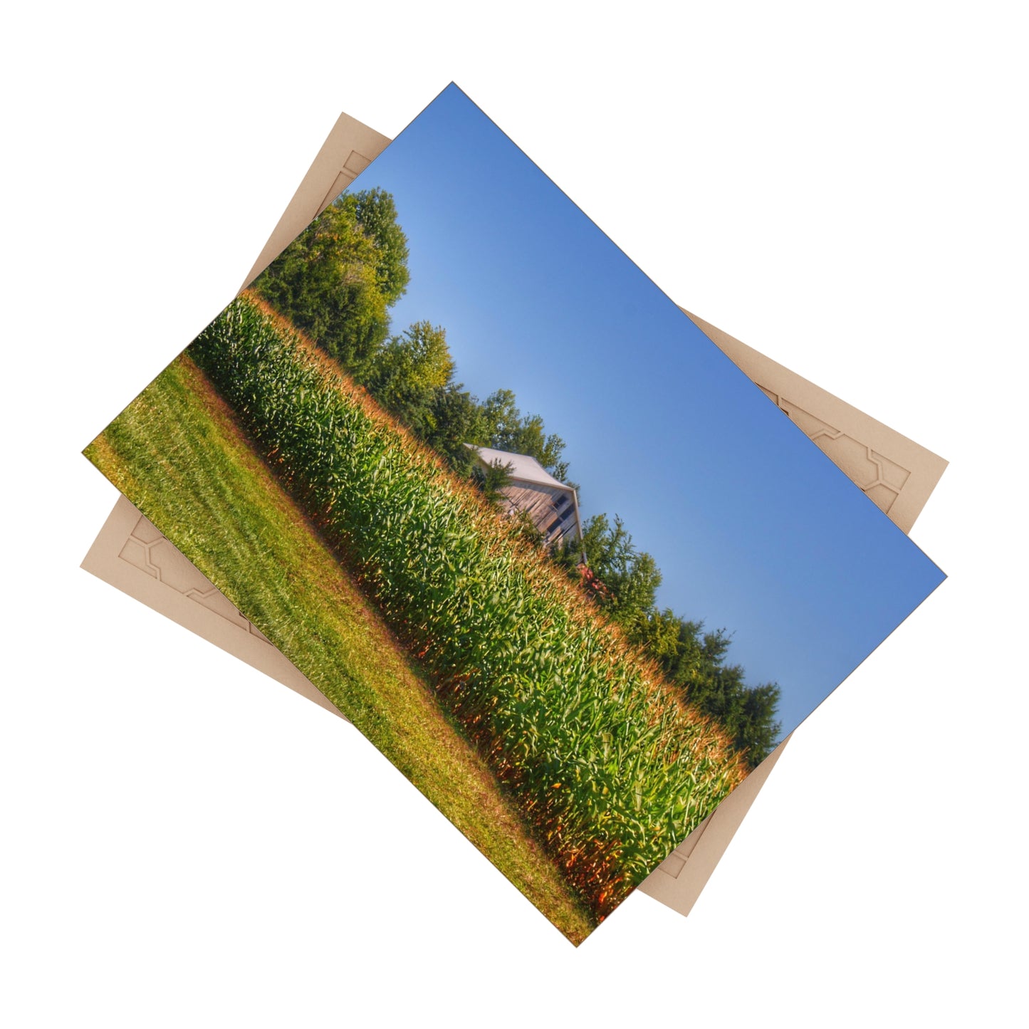 U R There Photography Beyond the Corn on Birch Run Road Rustic Farmhouse Decorative Ceramic Tile