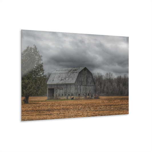 U R There Photography Grey Barn and Tree Rustic Farmhouse Acrylic Wall Print