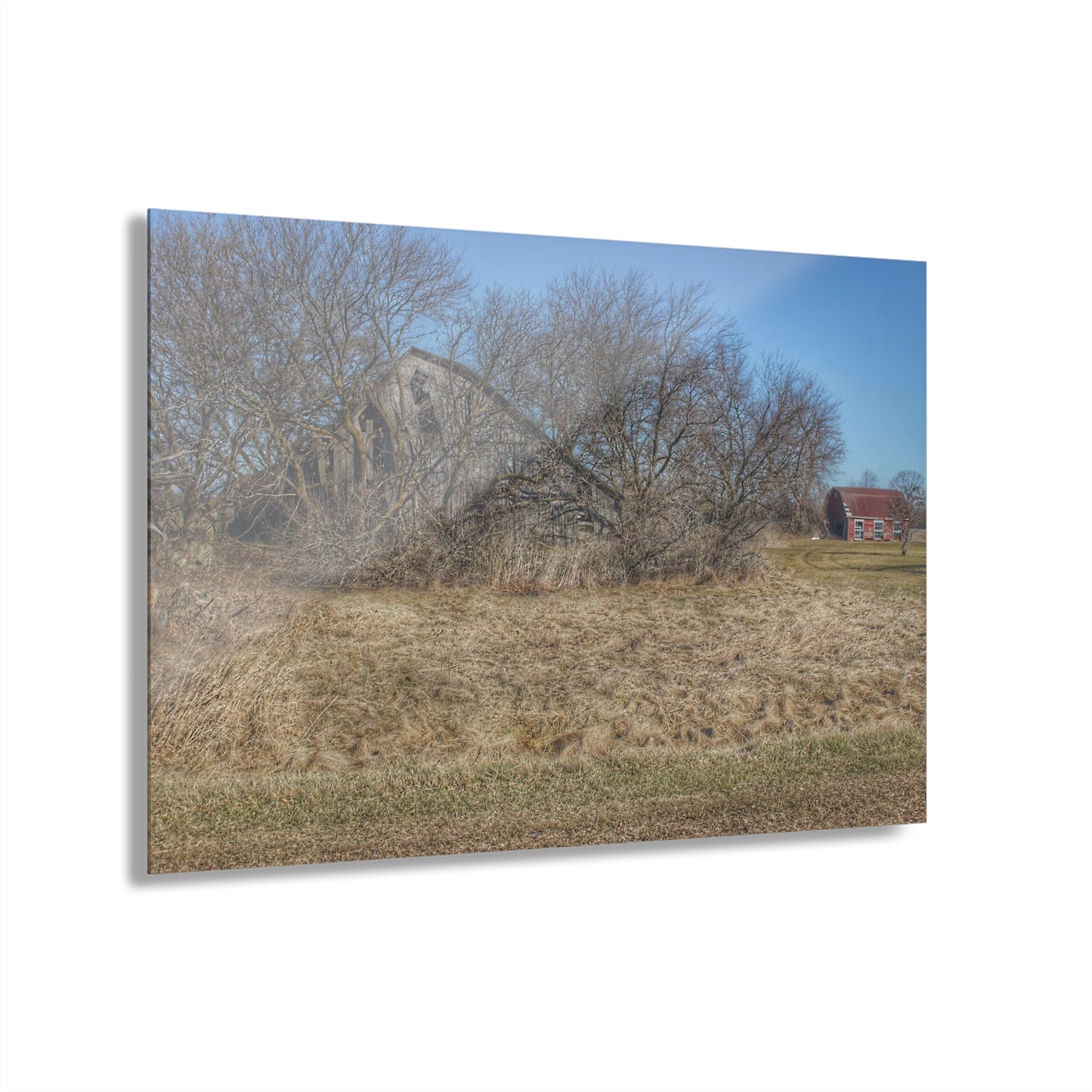 U R There Photography Fargo Road Forgotten Rustic Farmhouse Acrylic Wall Print