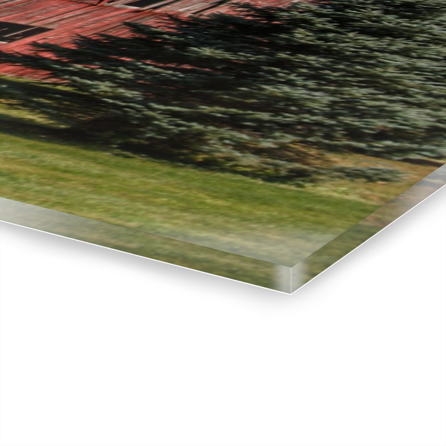 U R There Photography Havens Road Red Among the Pines Rustic Farmhouse Acrylic Wall Print