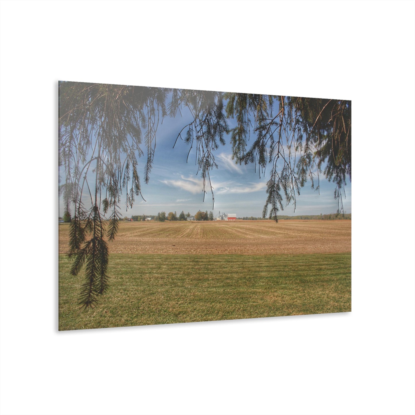 U R There Photography Cass City Farm Rustic Farmhouse Acrylic Wall Print