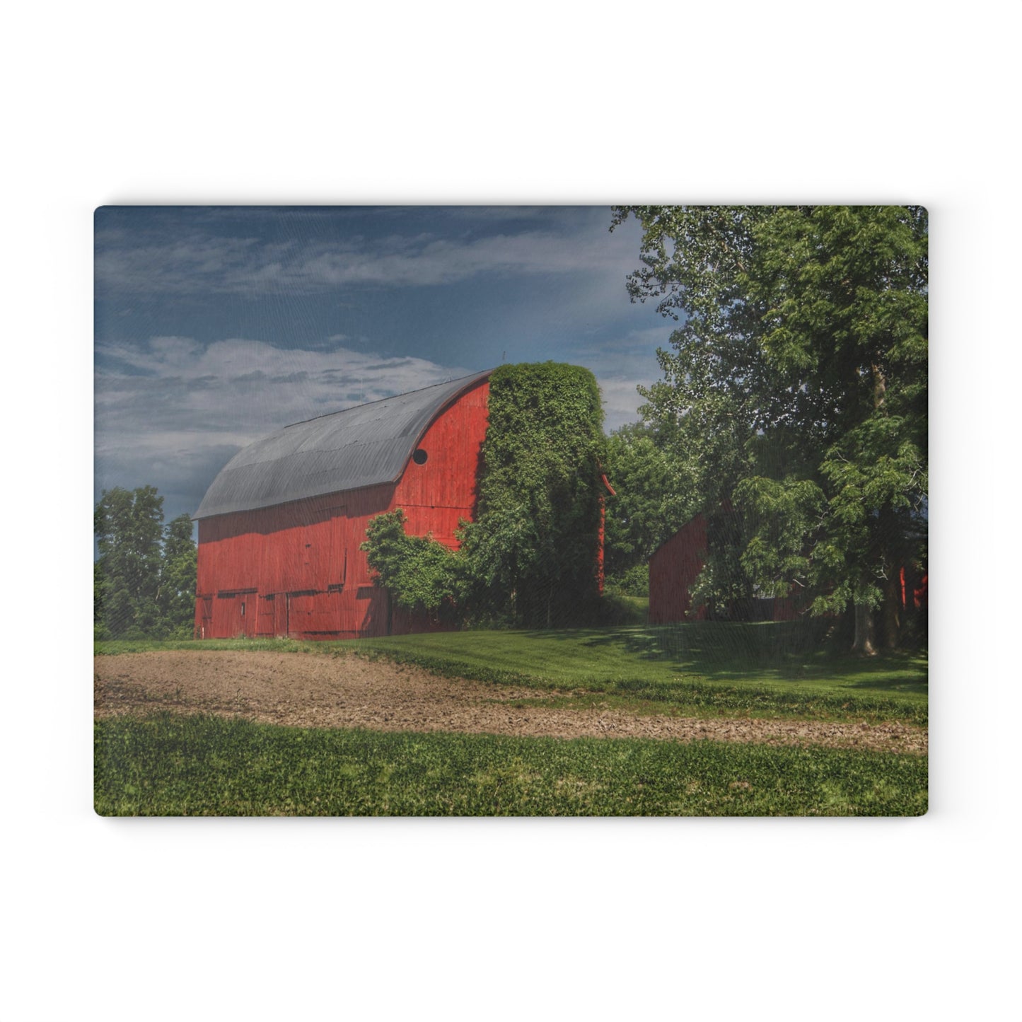 U R There Photography Catlin Road Red I Rustic Farmhouse Tempered-Glass Cutting Board